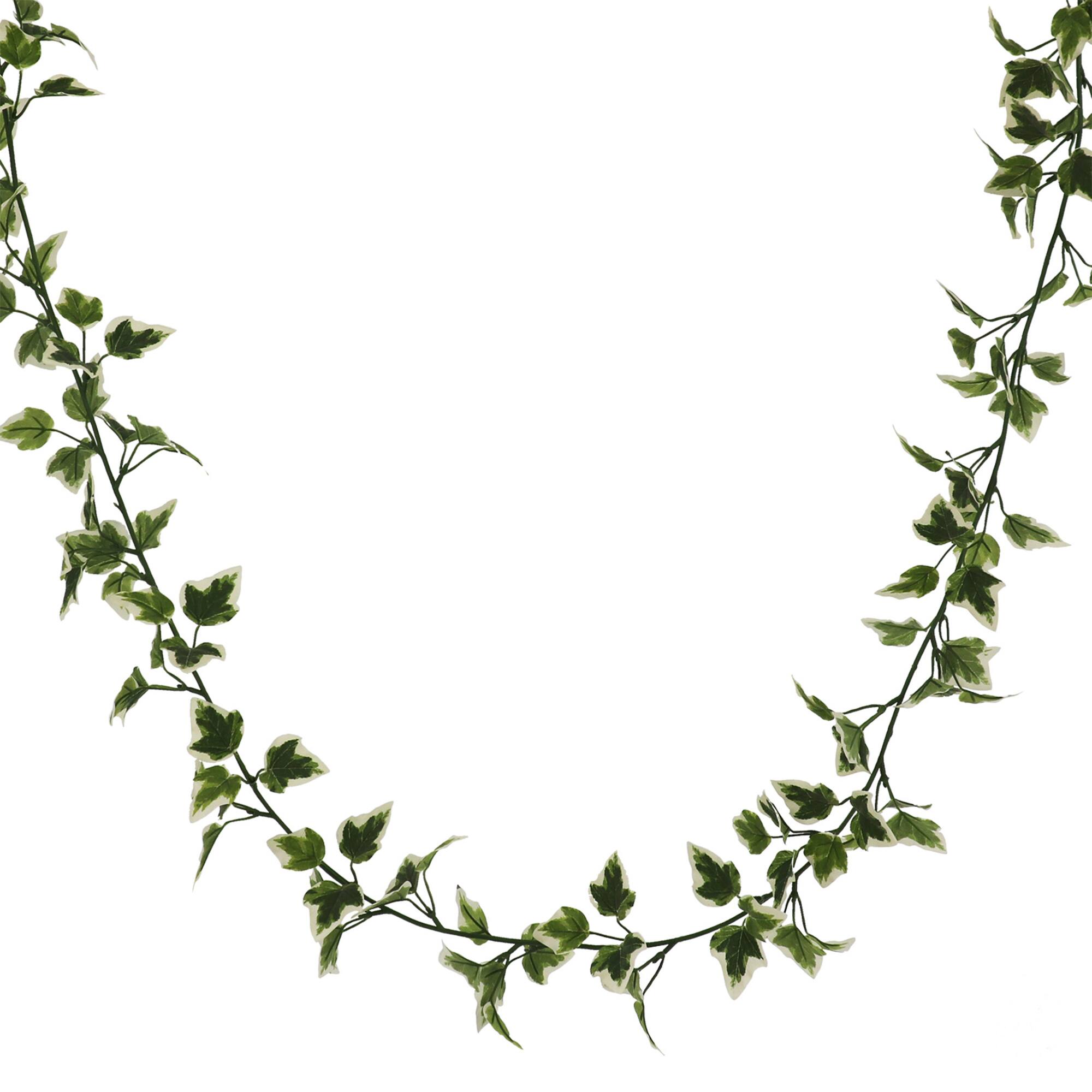 8 Pack: 6ft. Variegated Ivy Garland by Ashland®